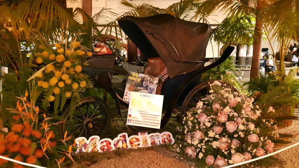 Casa Violeta Villa Funchal  Luaran gambar